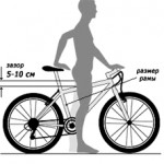 Как выбрать размер рамы велосипеда